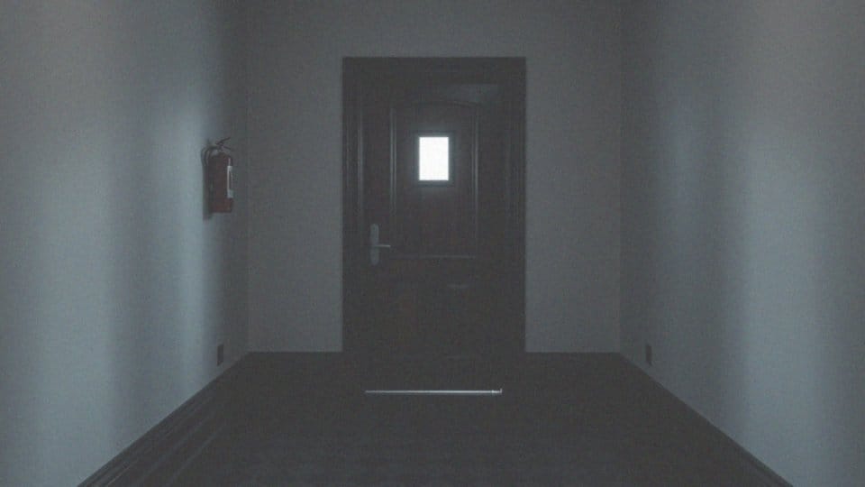Jaka jest rola świadków i biegłych w sprawach o fałszywe zeznania?