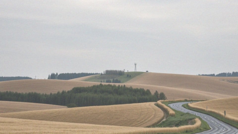 Jakie są częstotliwości RMF FM w Wrzescie i Siemiatyczach?