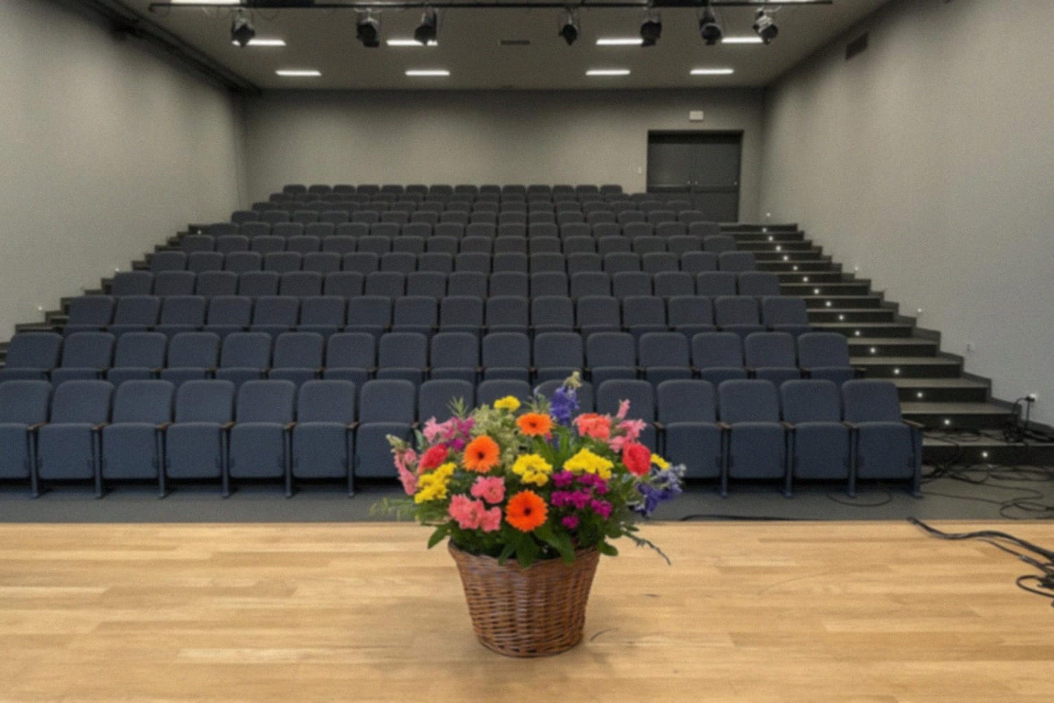 Magiczne Show w Mikołowie – spektakl iluzji dla całej rodziny