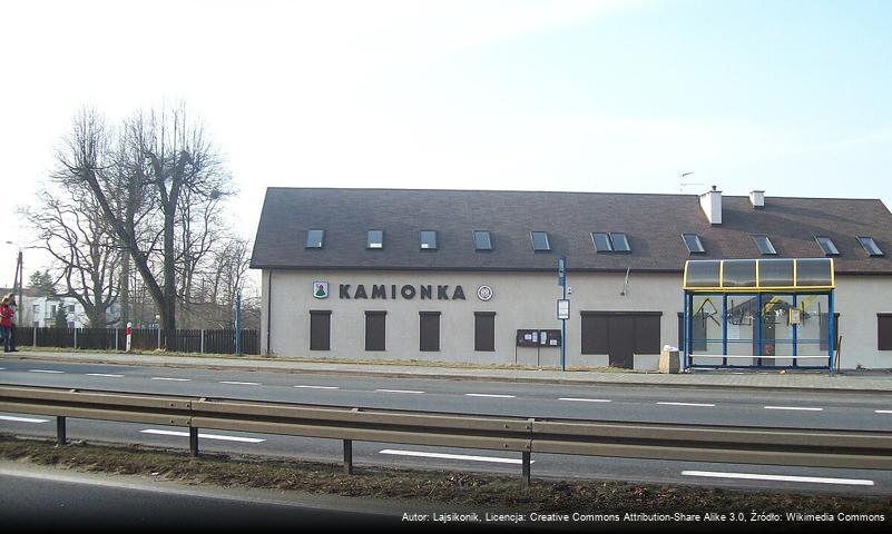 Kamionka (Mikołów)