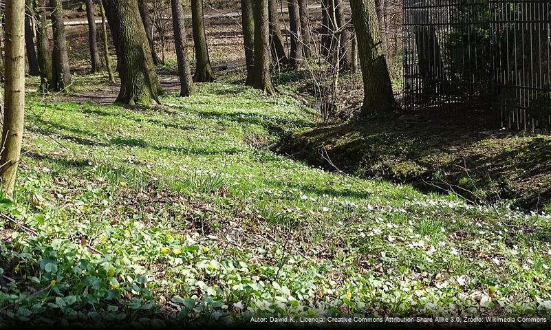 Park Duże Planty w Mikołowie